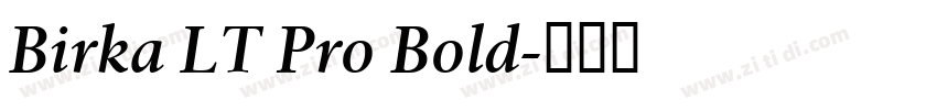 Birka LT Pro Bold字体转换